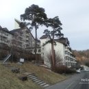 가족호텔 해바라기동 | 무주리조트펜션 - 가족호텔 해바라기동 솔직후기