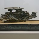 덕소자연사박물관 이미지