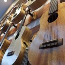 행복한 우쿨렐레 이미지