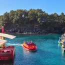 (유)제주자유여행사 | 제주도미니버스투어 기사포함 자유여행 비용 후기