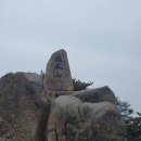 바다와 구이 이미지