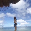 이필모 카카오 검색결과