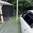 80포레스트카라반캠프((주)포레스트카라반 대구점) | 여치니와 함께한 두 번째 카라반 후기