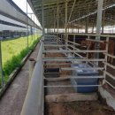 정우축사 이미지