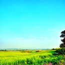 버들목장 이미지