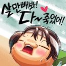 에스랜드