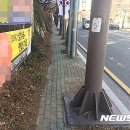 봉수로가로수 뉴시스
