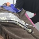 미소컴퓨터 | 부천역마사지 미소 체형관리 후면관리 받은 후기