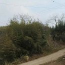 손불면사무소 이미지