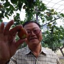 장명농장 이미지