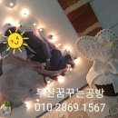 아트샤인 Daum카페