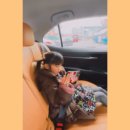 부평에서 하루종일 놀기 부평지하상가 주차 디스코팡팡 슬라임카페 간장게장 후기