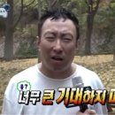 머리하고