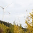 광도태양광발전소 이미지