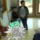 핑&온열다이어트