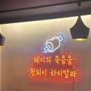가보 | 신정역 가보족발 다녀온 후기 🍖✨