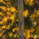 은행나무숲 입구 이미지