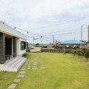 빈도롱이 이미지