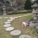 주초농장 이미지