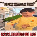 광안리 세븐테마카페 본점 ) 아이와 동물카페 체험 가볼만한곳 추천! 내돈내산
