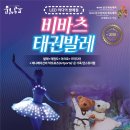 LED비바츠 태권발레 이미지