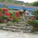 대송펜션 이미지