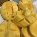 더웨스트(The West) | 11월22 토 가계부/호주 마켓/더웨스트엔드마켓츠/The West End Markets/브리즈번시장