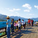 형형색색의바위들 이미지