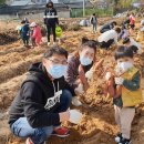 나라어린이집 이미지