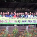 중앙로터리주변 이미지