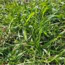 제주축산 이미지