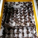 덕평농장 이미지