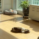 조마루로397번길 이미지