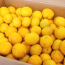 오영농장 이미지