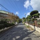 목포마리아회고등학교 이미지