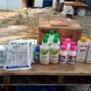 현대농약사 이미지