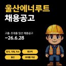 롯데케미칼, SK가스, 에어리퀴드 합작기업 울산에너루트 각 부문별 채용공고 및 기업정보 평균연봉