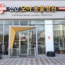 모아동물병원 이미지