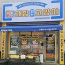 개밥파는고양이두정점