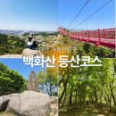 태안 안면도 가볼만한곳 백화산 구름다리 등산코스 카페추천