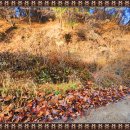 봉화부분정비 이미지