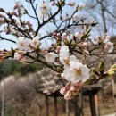 길치근린공원(2) 이미지