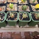 혜인농장 이미지