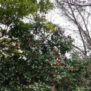 완도LOWA 이미지