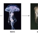 모티브미술학원