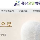 용당요양병원 티스토리