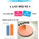 루체안경 이미지