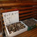 무릉계곡 3호 이미지