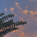 Person & People 이미지