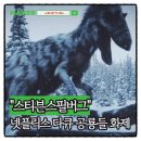 시청 | 공룡들 넷플릭스 다큐 시청 후기 스필버그 참여 의미 분석